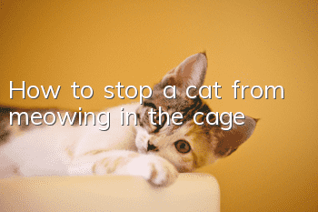 How to stop a cat from meowing in the cage