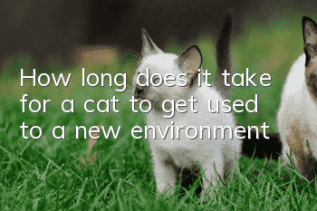 How long does it take for a cat to get used to a new environment?