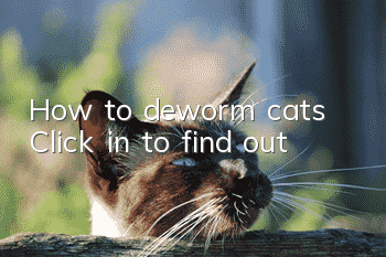 How to deworm cats? Click in to find out!