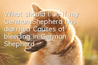 What should I do if my German Shepherd has diarrhea? Causes of bleeding in German Shepherds!