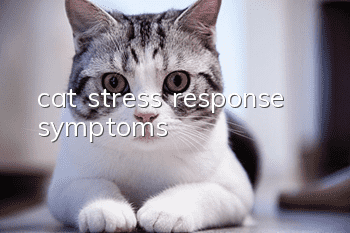 cat stress response symptoms