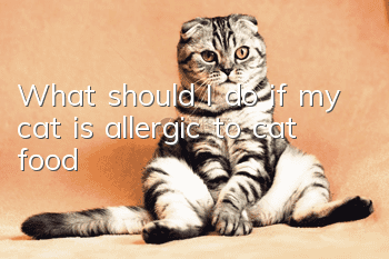 What should I do if my cat is allergic to cat food?