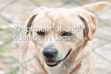 Treatment of anal adenitis in dogs