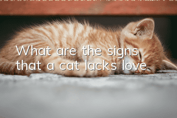What are the signs that a cat lacks love?