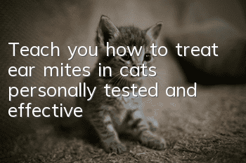 Teach you how to treat ear mites in cats, personally tested and effective!