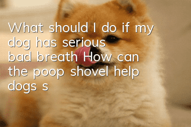 What should I do if my dog has serious bad breath? How can the poop shovel help dogs solve this problem?