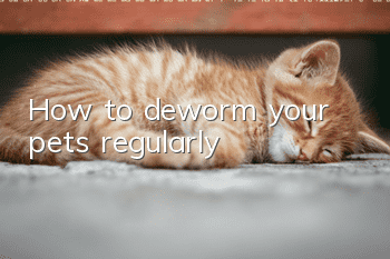 How to deworm your pets regularly?