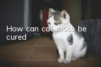 How can cat moss be cured?