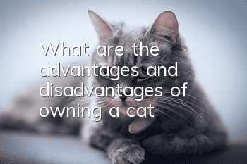 What are the advantages and disadvantages of owning a cat?