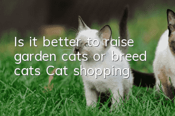 Is it better to raise garden cats or breed cats? Cat shopping!
