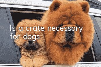 Is a crate necessary for dogs?
