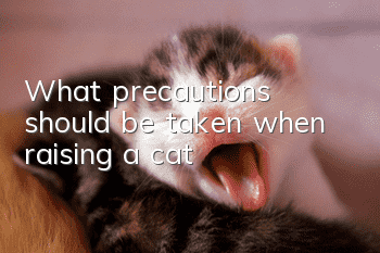 What precautions should be taken when raising a cat?