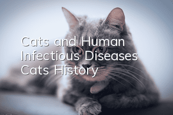 Cats and Human Infectious Diseases: Cats’ History