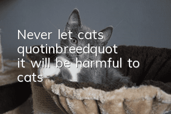 Never let cats "inbreed", it will be harmful to cats!