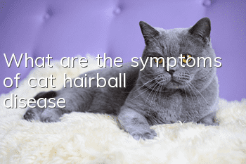 What are the symptoms of cat hairball disease?