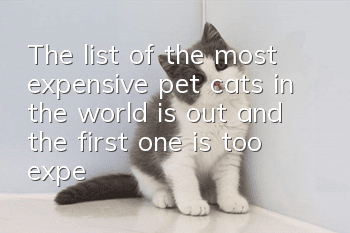 The list of the most expensive pet cats in the world is out, and the first one is too expensive to keep!