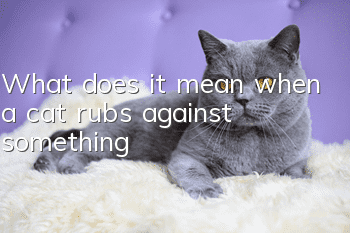 What does it mean when a cat rubs against something?