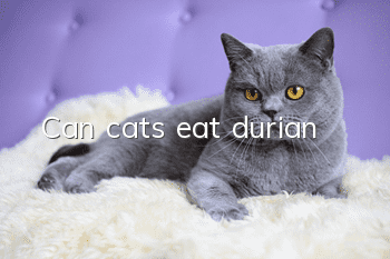 Can cats eat durian?