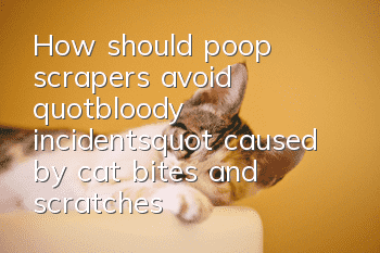 How should poop scrapers avoid "bloody incidents" caused by cat bites and scratches?