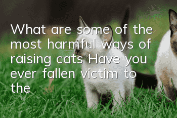 What are some of the most harmful ways of raising cats? Have you ever fallen victim to them?