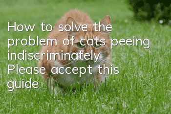 How to solve the problem of cats peeing indiscriminately? Please accept this guide!