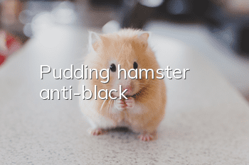 Pudding hamster anti-black