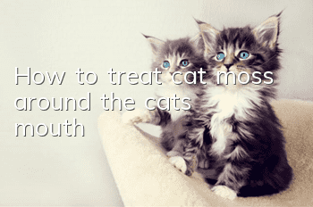 How to treat cat moss around the cat's mouth?