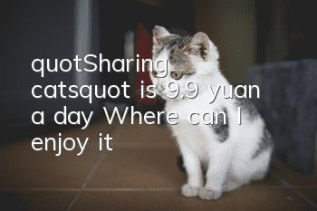 "Sharing cats" is 9.9 yuan a day? Where can I enjoy it?