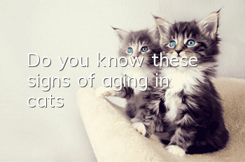 Do you know these signs of aging in cats?