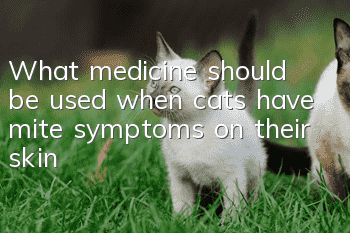 What medicine should be used when cats have mite symptoms on their skin?