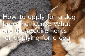 How to apply for a dog breeding license? What are the requirements for applying for a dog ownership license?