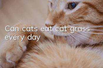 Can cats eat cat grass every day?