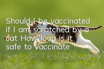 Should I be vaccinated if I am scratched by a cat? How long is it safe to vaccinate?