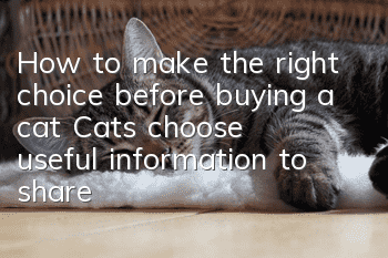 How to make the right choice before buying a cat? Cats choose useful information to share!