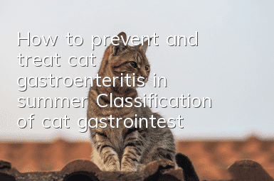 How to prevent and treat cat gastroenteritis in summer? Classification of cat gastrointestinal diseases!
