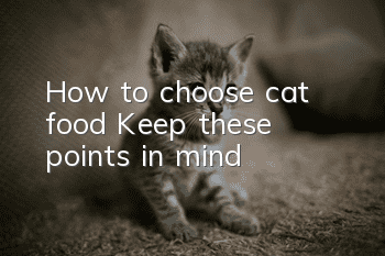 How to choose cat food? Keep these points in mind!