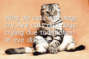 Why do cats and dogs cry? Are cats and dogs crying due to emotion or eye disease?