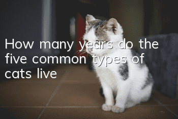 How many years do the five common types of cats live?
