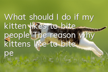 What should I do if my kitten likes to bite people? The reason why kittens like to bite people!