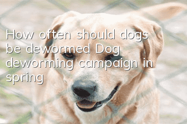 How often should dogs be dewormed? Dog deworming campaign in spring!