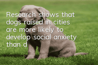 Research shows that dogs raised in cities are more likely to develop social anxiety than dogs raised in rural areas