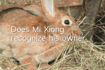 Does Mi Xiong recognize his owner?