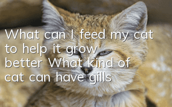 What can I feed my cat to help it grow better? What kind of cat can have gills?