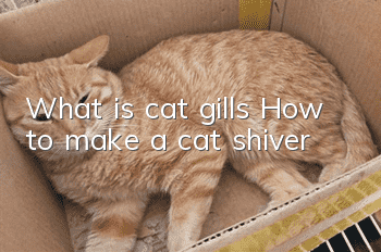 What is cat gills? How to make a cat shiver?