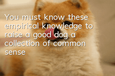 You must know these empirical knowledge to raise a good dog, a collection of common sense about raising a dog!