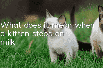 What does it mean when a kitten steps on milk?