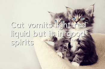 Cat vomits light red liquid but is in good spirits