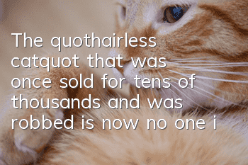 The "hairless cat" that was once sold for tens of thousands and was robbed is now no one interested?