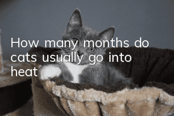 How many months do cats usually go into heat?