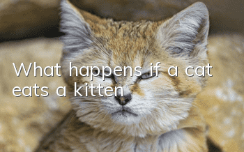 What happens if a cat eats a kitten?